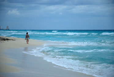 Similar image 8315213