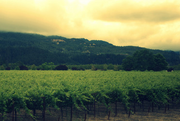 Similar image 8315217