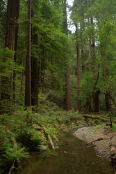 Similar image 8315220