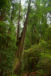 Similar image 8315221