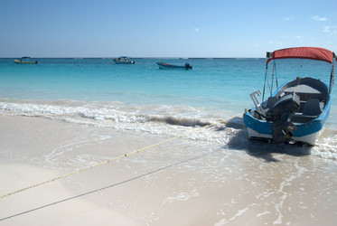 Similar image 8315227