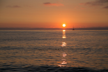 Similar image 8315254