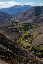 Similar image 8315255