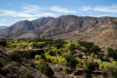 Similar image 8315256