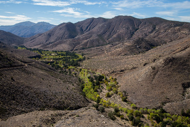 Similar image 8315257