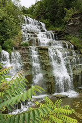 Similar image 8315260