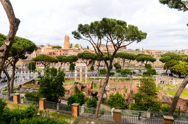 Similar image 8315313