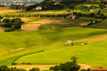 Similar image 8315384