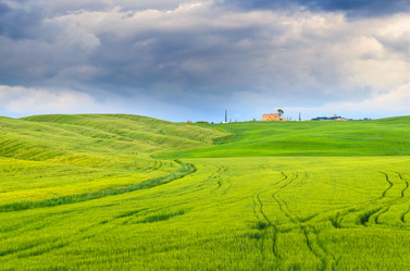 Similar image 8315388