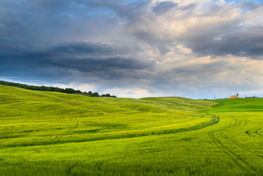 Similar image 8315389