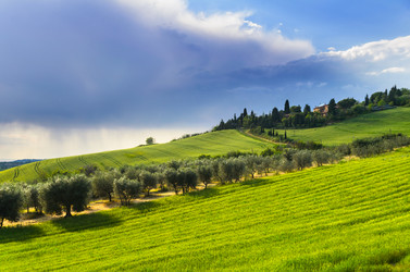 Similar image 8315399