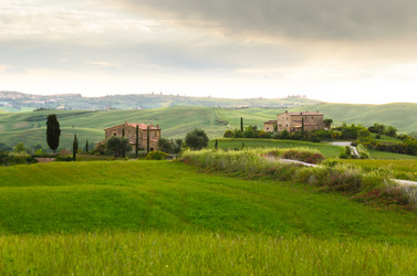 Similar image 8315403