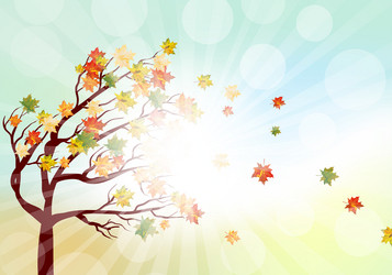 Similar image 8315455