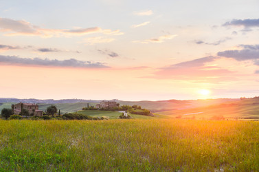 Similar image 8315524