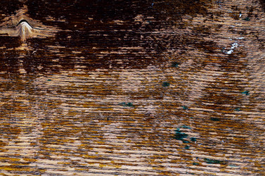 Similar image 8315648