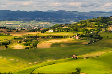 Similar image 8315703