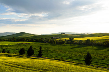 Similar image 8315708