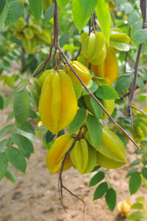 Similar image 8315756