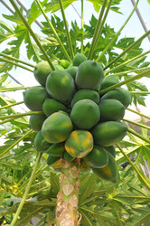 Similar image 8315757