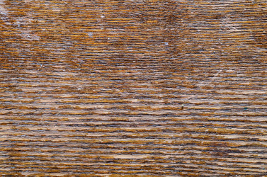 Similar image 8315763