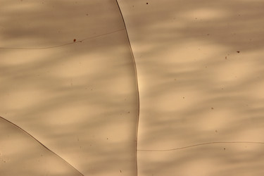 Similar image 8315998