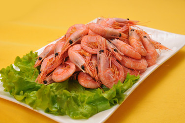 Similar image 8316096