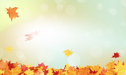 Similar image 8316106