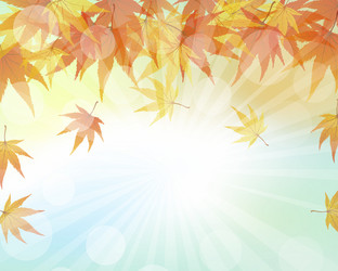 Similar image 8316171