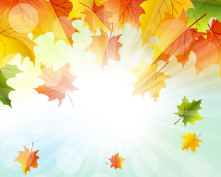 Similar image 8316172