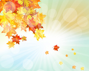 Similar image 8316180