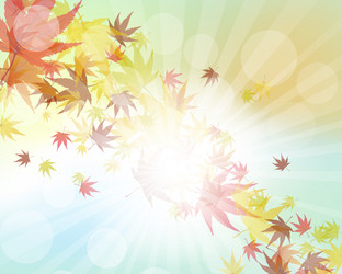 Similar image 8316188