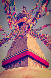 Similar image 8316255