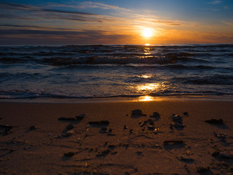 Similar image 8316295