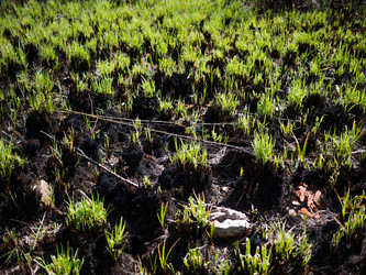 Similar image 8316298