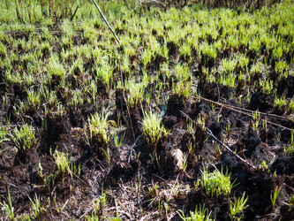 Similar image 8316299