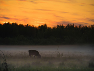 Similar image 8316304