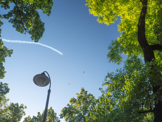 Similar image 8316319