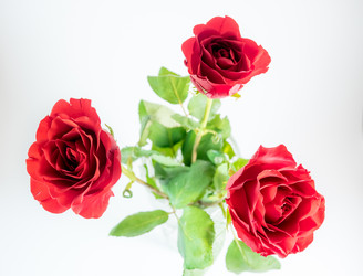 Similar image 8316343