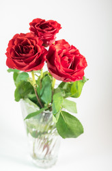 Similar image 8316346