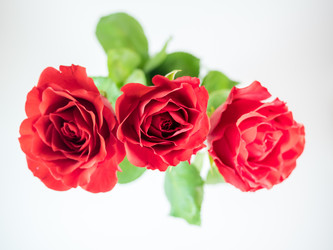 Similar image 8316357