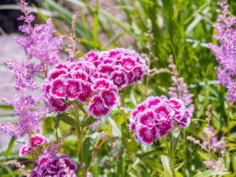 Similar image 8316404