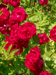 Similar image 8316431