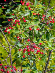 Similar image 8316445