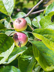 Similar image 8316449