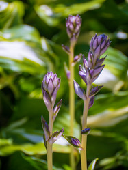 Similar image 8316457