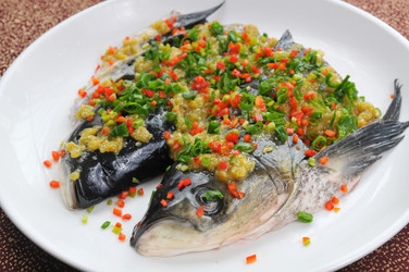 Similar image 8316458