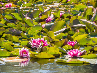 Similar image 8316482