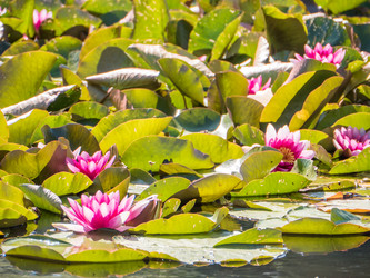 Similar image 8316483