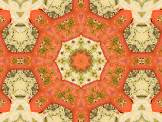 Similar image 8316506