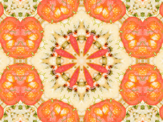 Similar image 8316513